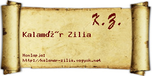 Kalamár Zilia névjegykártya