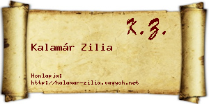 Kalamár Zilia névjegykártya